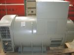 Made in china useful brushless generator without engine