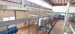 SUS 304 / 316L Mango Processing Machine Aseptic Bags 10 - 100T/D