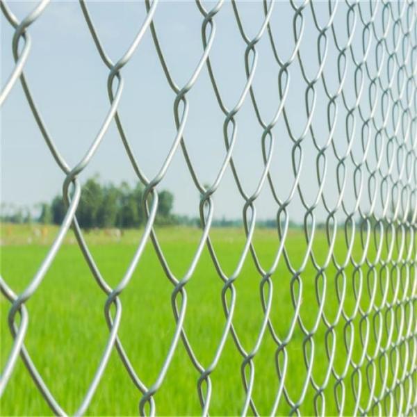Buy cheap Silvery Diamond Wire Mesh Galvanized Chain Link Fence 50 Feet Length from wholesalers