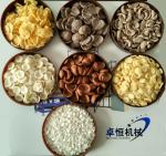 200-250kg/h Capacity Snack Food Making Machine for Breakfast Cereal Corn Flakes