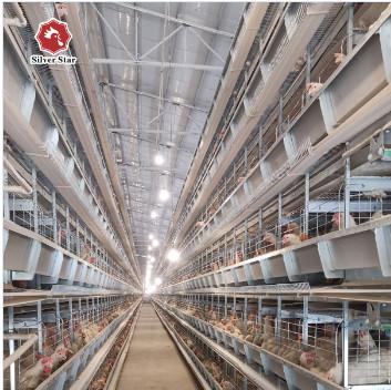 Buy cheap H Type Chicken Poultry Cage Coops Automatic Battery Cages from wholesalers
