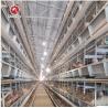 Buy cheap Poultry Agricultural Products Chicken Layer Cage For Broilers And Chicks from wholesalers