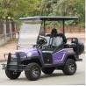 Buy cheap Electric Fuel 4 Wheel Four Person Golf Cart With Rear Seat , Purple Color from wholesalers