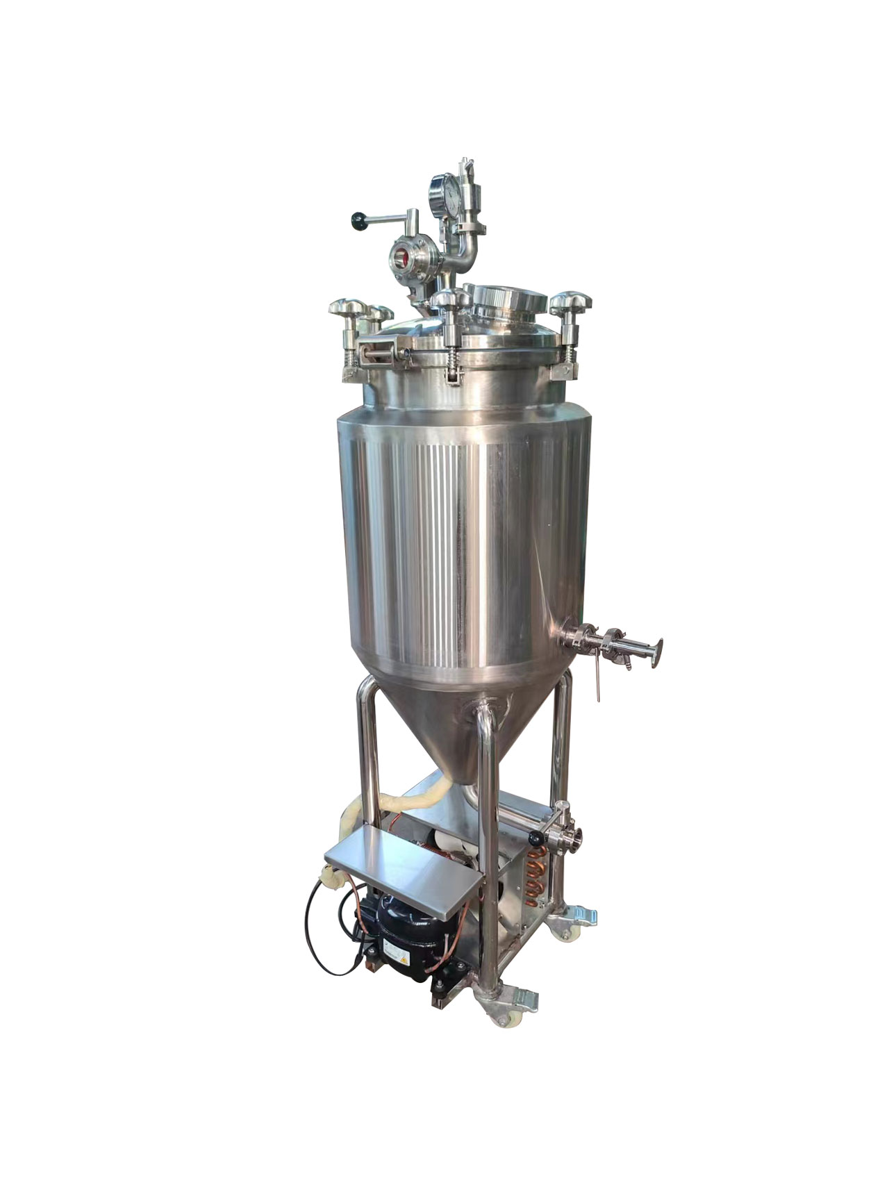Other Processing Control System CIP GHO 30L SUS 304 Automatic Conical Fermenter