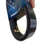 Buy cheap 8PK1480 Fan Belt For Komatsu PC200-7 Excavator from wholesalers
