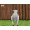 Buy cheap White Life Size Fiberglass Dolly Sheep Statue Animal Sculpture Garden Decor from wholesalers