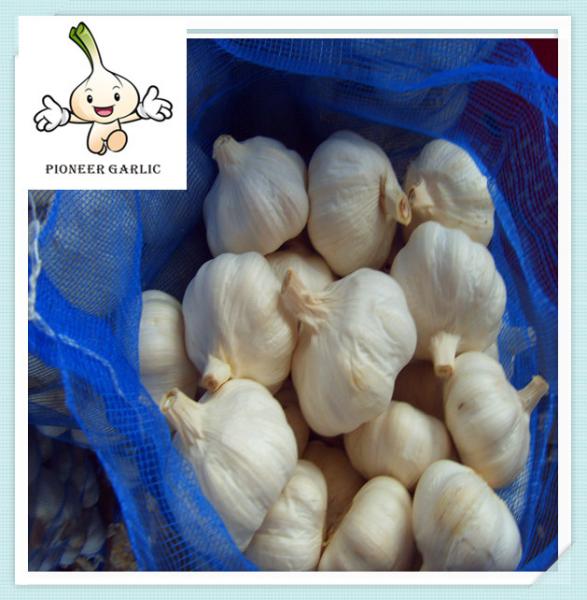 Buy cheap lowest price newest wholesale natural garlic garlic export price from wholesalers