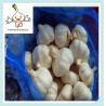 Buy cheap Pure White Garlic 5.0cm 200g Of 5 Pieces Chinese Fresh Garlic from wholesalers