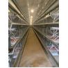 Buy cheap Smooth Surface Safe Baby Chick Cage Anti - Fatigue Long Service Life from wholesalers