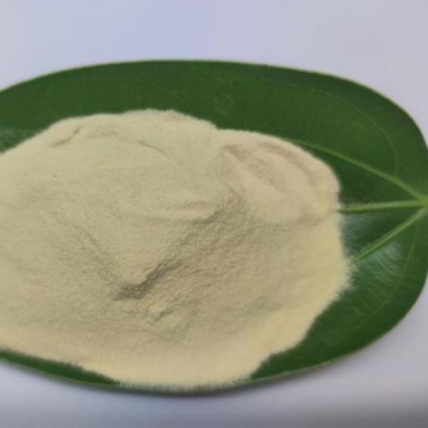 Organic Grass Fertilizer Amino Acid Powder 80% Bio Fertilizer For Fruits
