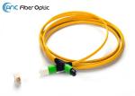 Ribbon Fiber Optic Cable Types SM OM3 12 Fiber MPO Female To MPO Female