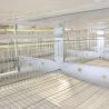 Buy cheap Hot Dipped Galvanized H Type Poultry Cage , Running Feeder Chicken Wire Cage from wholesalers
