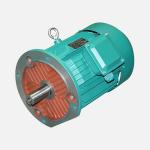 Category Electric Wrenches Permanent Magnet Synchronous Motor 750r-3000r Three