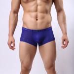 Sustainable Mens Seamless Briefs Anti-Static Breathable Polyester Boxer Shorts