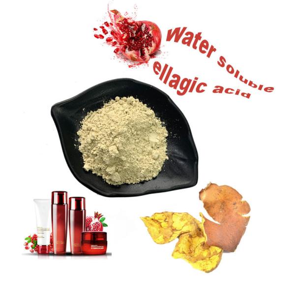Buy cheap Anti Inflammatory Pomegranate Extract Ellagic Acid Cosmetic Grade from wholesalers