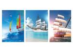 SGS Flip 3 Image In One 3D Lenticular Card 3.5x2 Inch 3D Name Cards