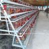 Buy cheap Save Area Poultry Farming Cage System , 3 Tiers Commercial Chicken Cages Ada from wholesalers