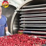 Fruit and Vegetable Meat Vacuum Freeze Drying Equipment for Pet Food 10kg per