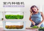 Home Lettuce PP 24V Greenhouses Hydroponic Growing Systems