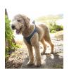 Buy cheap Fashionable Luxury Nice Quality Pet Vast Harness Fastness Walking Leashes For Small Pet Dog from wholesalers