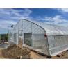 Buy cheap 200 micron UV Protection PE Film Single Tunnel Greenhouse For Tomato and Cucumber Growth from wholesalers