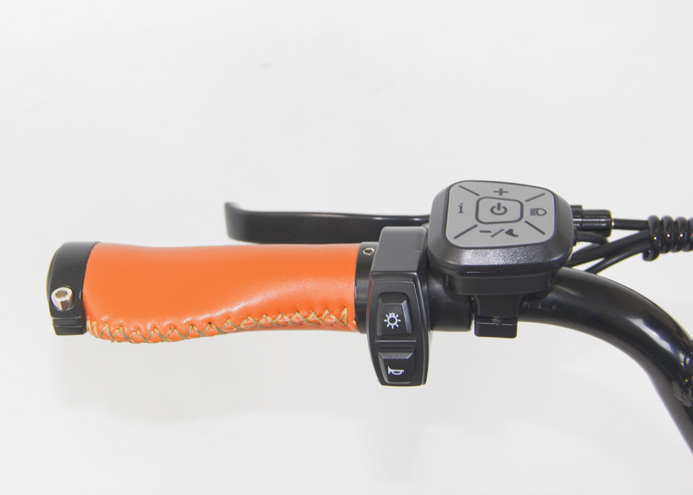 Electric Fat Bike 500W 750W Super Nice 73 Electric Bike with 48V 18AH Lithium Battery