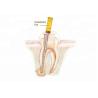 Buy cheap Motor Dental Niti Endo Rotary Files Barbed Broaches Apex Locator from wholesalers