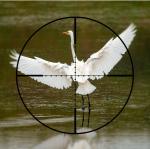 Long Range Shooting Air Rifle Scope 2-7X20 Waterproof For Outdoor