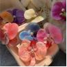 Buy cheap Hot Selling Artificial Floral Orchid Hairpins Flower Hair Clip Seaside Vacation Hair Accessories from wholesalers