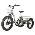 Aluminum Alloy Frame 48V 500W 3 Wheels Electric Cargo Tricycle with 24"x4.0 Fat