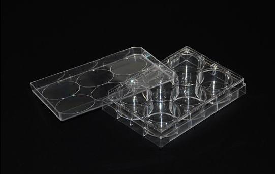 Buy cheap Laboratory Plastic Culture Plate Petri Plate Square Shape from wholesalers
