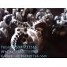Buy cheap ISO9001 Certified PDC Tools , Diamond PDC Drill Bit For Oil Natural Gas Industry from wholesalers