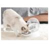 Buy cheap Intelligent Snail Shape Automatic Pet Water Dispenser 2.8L Cat Filter Water Bowl from wholesalers