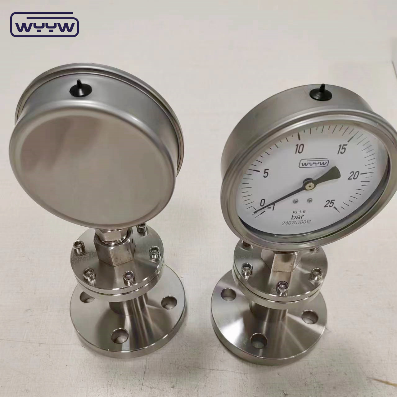 Direct Bottom Or Back Mounting Diaphragm Pressure Gauge with High Accuracy