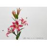 Buy cheap Long - Lasting Multiple Color Artificial Lilies With 3 Flowers And 2 Buds 98 CM from wholesalers