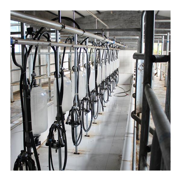 Buy cheap Low Noise 1.5KW Herringbone Milking Parlor Electric Equipment from wholesalers