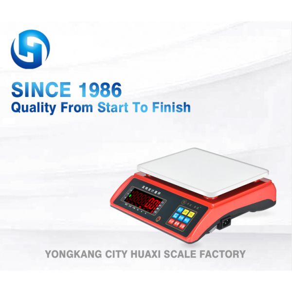 ROHS Certified Carbon Steel Industrial Digital Platform Weighing Scale Floor Scale 2 Tons for Heavy Duty Applications