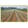 Buy cheap Fiberglass FRP Pultruded Fiberglass Rod Plant Support Stake For Nursery Tree from wholesalers