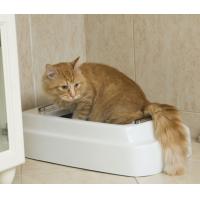 Buy cheap Odor Eliminating Powdered Cat Litter Powder 25kg/bag Without Agglomeration product