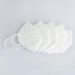 Food Processing KN95 Face Mask