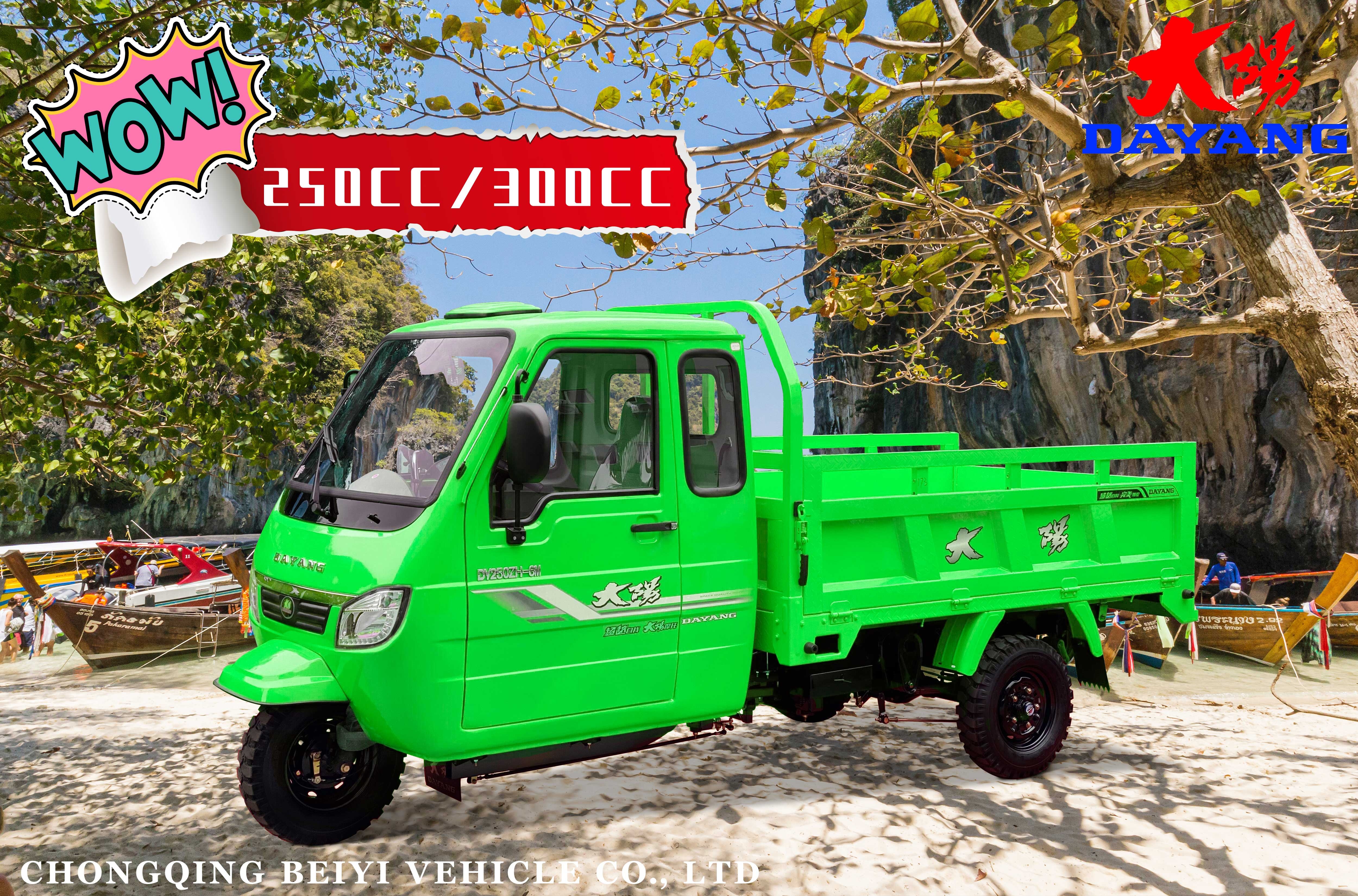 Experience the Power of ≥25° Grade Ability Gas Motorcycle Tricycles 250cc Displacement