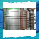 Standard Export Seaworthy Package Strip Coil Stainless Steel Strip Roll