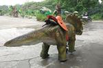 Life Size Walking Dinosaur Rides , 110V / 220V AC Robotic Deer Dinosaur Car