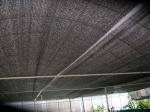 Buy cheap Black PE Shade Net 60gsm Green House Agriculture Shading Net Anti-Hail Net from wholesalers