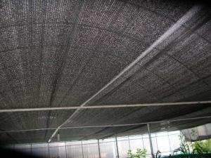 China Black PE Shade Net 60gsm Green House Agriculture Shading Net Anti-Hail Net on sale