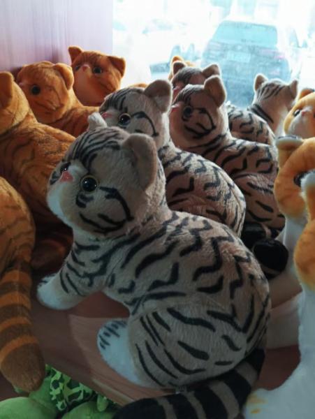 Buy cheap Cute patterned kitten cat plush toy stuffed toy cartoon animal handicraft gift holiday gift from wholesalers