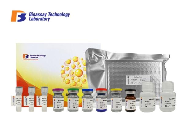 Buy cheap Thymidine Kinase 1 Soluble ELISA Sandwich Assay Kit 2 Hours Assay Length from wholesalers
