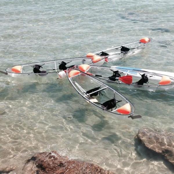 Buy cheap 2 Seats Plastic Transparent Paddle Fishing Rowing Boats 338*93*35cm from wholesalers