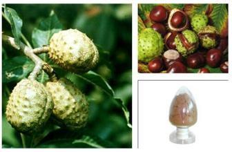 Buy cheap Horse Chestnut P.E., Aescin 20% ,CAS NO.: 6805-41-0, 100% natural anti-inflammatory and antioxidant , reishi mushroom from wholesalers