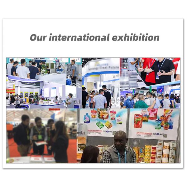 Customized Logo Color Printing Durable Smell-Proof Mylar Pouches with CR Zipper Locks